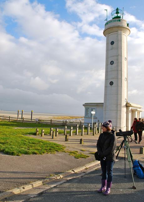 A la rencontre des phoques de la Baie de Somme A la rencontre des phoques de la Baie de Somme