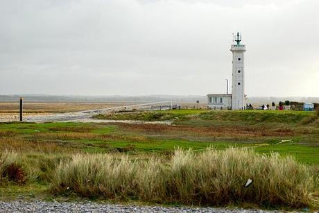 A la rencontre des phoques de la Baie de Somme A la rencontre des phoques de la Baie de Somme