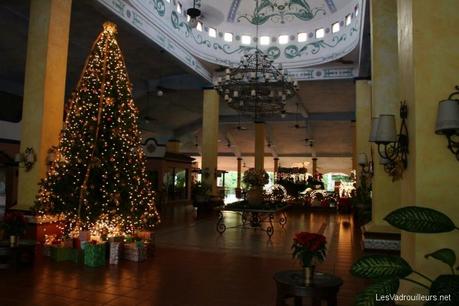 Souvenir inoubliable : ambiance Noël au Mexique à Playa del Carmen Mexique
