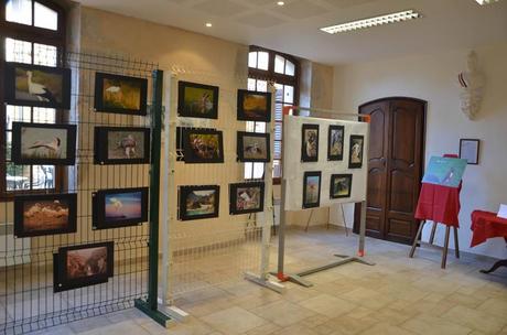 Les visiteurs de l’expo-photos 1461036_600058363375429_2089921209_n