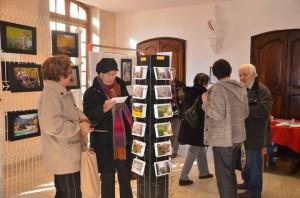 Les visiteurs de l’expo-photos 1003785_600075993373666_458605693_n