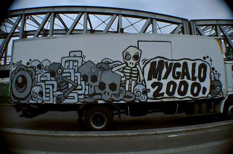 Mygalo 2000