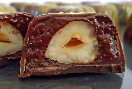 Chocolats fins : chocolat noisettes