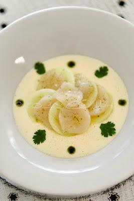 Entrée de fête: panna cotta au célerie, carpaccio de St-Jaques