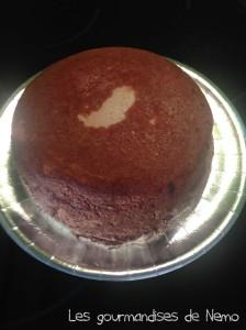 Gâteau des neiges gateau-des-neiges--2-.JPG