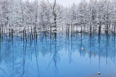 Sélection Pixfan 500px #94 Kent Shiraishi