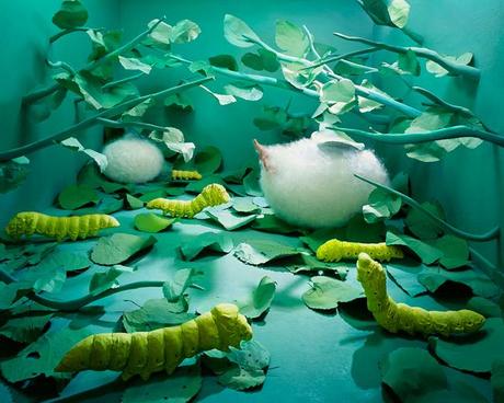 Sans photoshop, elle transforme une pièce de 15m2 en 15 pays des songes jeeyoung_lee_opiom_gallery-06