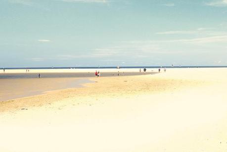 Avoca Beach image