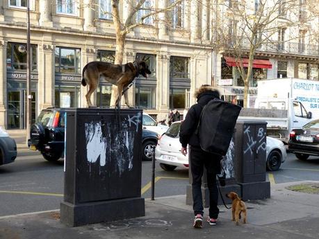 Paris, sans singe, mais presqu'en hiver ... P1120064