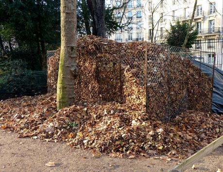 Paris, sans singe, mais presqu'en hiver ... P1120047