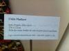 IMG_1032 IMG_1032