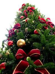 Un noël inoubliable Sapin de Noël