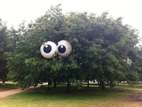 Un arbre avec des yeux
