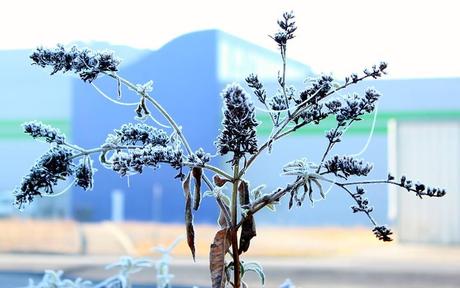 usine-bledina A la découverte de l’usine Blédina et de son nouveau concept des parents témoins