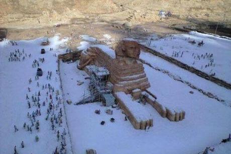 Dernière minute (18/12/2013) Encore trop d'abandons d'animaux : regardez comme il a l'air triste, ce pauvre sphinx laissé tout seul dans la neige par son vilain maî-maître !