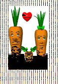 carrot-copie-1.gif
