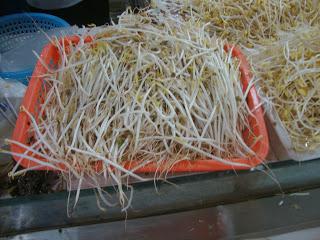 Pousses de soja louches Pousses de soja louches