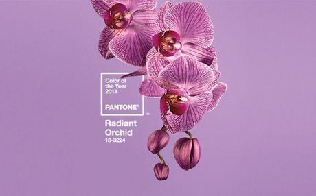 Couleur de l'année 2014 : Radiant Orchid 