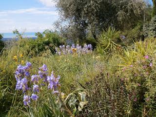 Le jardin de Georges Ribemont-Dessaignes