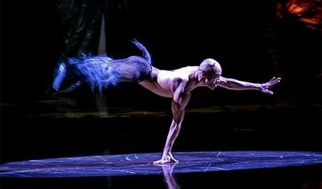 Tentative de passer à travers 10 vitres half animal au cirque du soleil