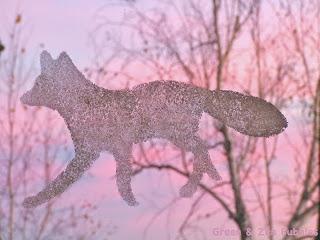 Quand la forêt s'invite sur les fenêtres Quand la forêt s'invite sur les fenêtres