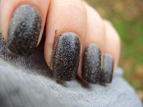 Révolution holo pour les fêtes ! DSCN1205