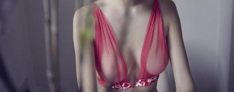 lingerie soutient gorge damaris rouge seins photographie nue