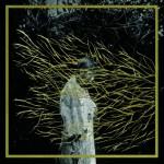 Bilan 2013 forest-swords_engravings_cover-500x500
