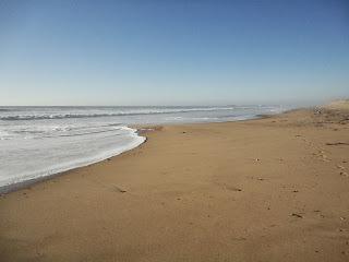 journées d'hiver en vendée journées d'hiver en vendée