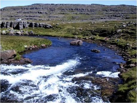 Laugardalsá MOUCHING FISHING TRIP : TOP SPOT ISLANDAIS