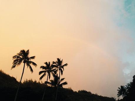 Greetings from … Waimea Valley with Princesse Tam.tam! Princessetamtamhawaii7.jpg