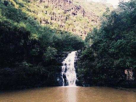 Greetings from … Waimea Valley with Princesse Tam.tam! Princessetamtamhawaii6.jpg