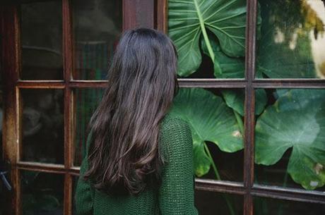 Sunday Green Home Sunday Green Home