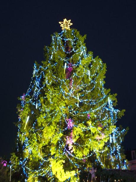 24 Pictures Before Christmas : récap de la troisième semaine 24 Pictures Before Christmas : récap de la troisième semaine