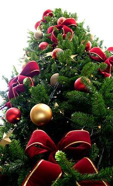 Quelques jours de vacances et un joyeux Noël à tous sapin.jpg