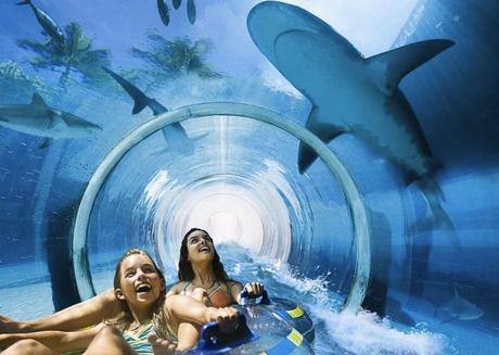 ATLANTIS PARADISE ISLAND RESORT POOL : Les plus belles piscines du monde!