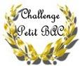 challenge petit bac challenge petit bac