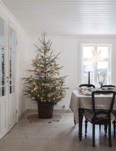 Sapin-pot Sapin-pot