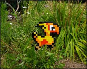 Paoru.fr a 4 ans : what a wonderfull year ! Chocobo