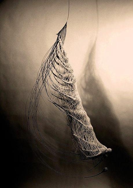 Anne Mudge – Congruence – Steel wire, fiber, pigment and beeswax