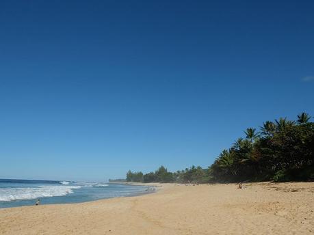 Greetings from … Oahu’s North Shore, Hawaii! #4 hawaii oahu 10