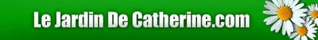 Calendrier des plantes Janvier Calendrier des plantes Janvier