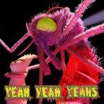 Yeah Yeah Yeahs {Mosquito Deluxe Edition}