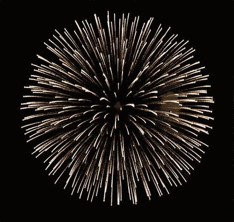✯Happy New Year ✯ oh la belle blanche