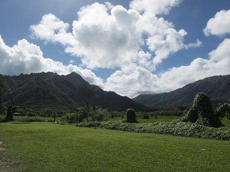 Greetings from … Oahu’s North Shore, Hawaii! #5 Hawaii #5 - 05