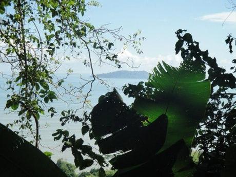 Voyage - Je vous emmène à la découverte de la faune et la flore de Guyane