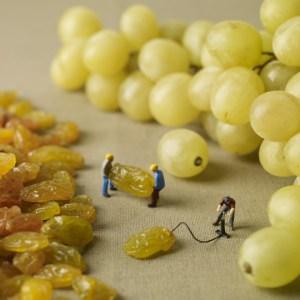 grape-inflated-Pierre Javelle-Akiko Ida