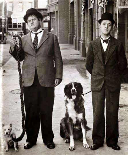 Dès qui grossissent, dès qui maigrissent ! Dès qui grossissent, dès qui maigrissent !