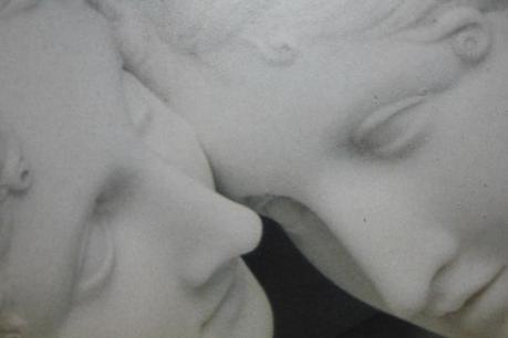 Photo du dimanche : tendresse IMG_2649