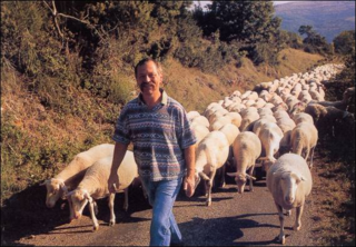 José Bové et ses moutons